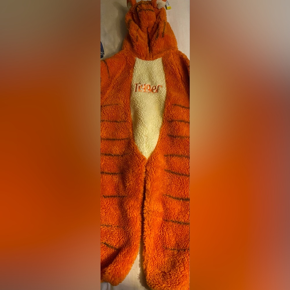 Child’s tigger costume